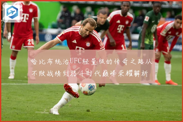 哈比布统治UFC轻量级的传奇之路从不败战绩到格斗时代巅峰荣耀解析