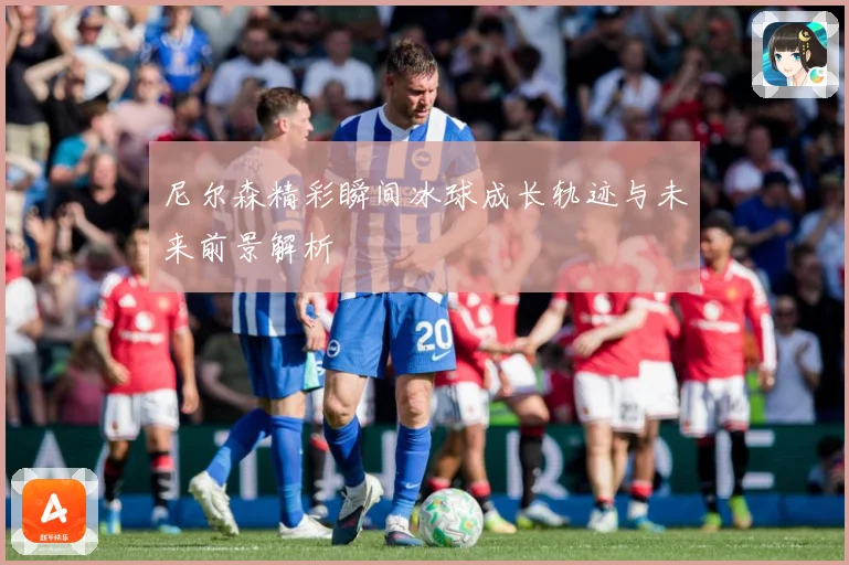 尼尔森精彩瞬间冰球成长轨迹与未来前景解析