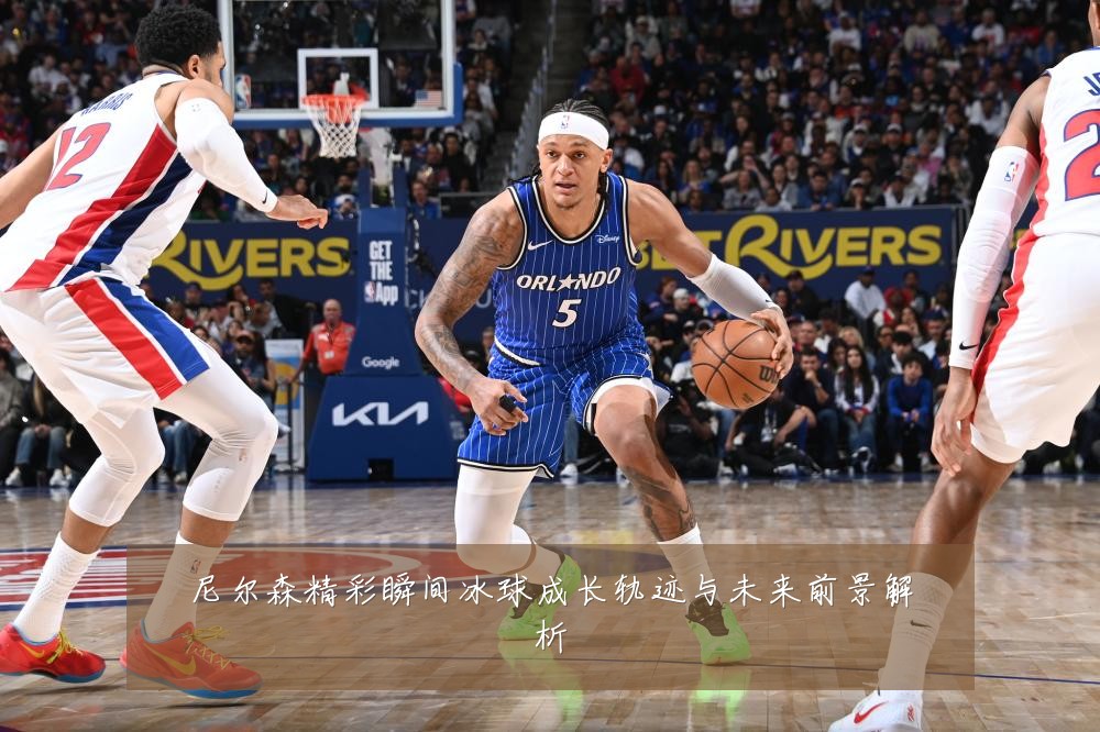 尼尔森精彩瞬间冰球成长轨迹与未来前景解析