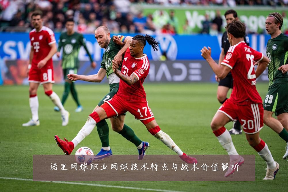 诺里网球职业网球技术特点与战术价值解析
